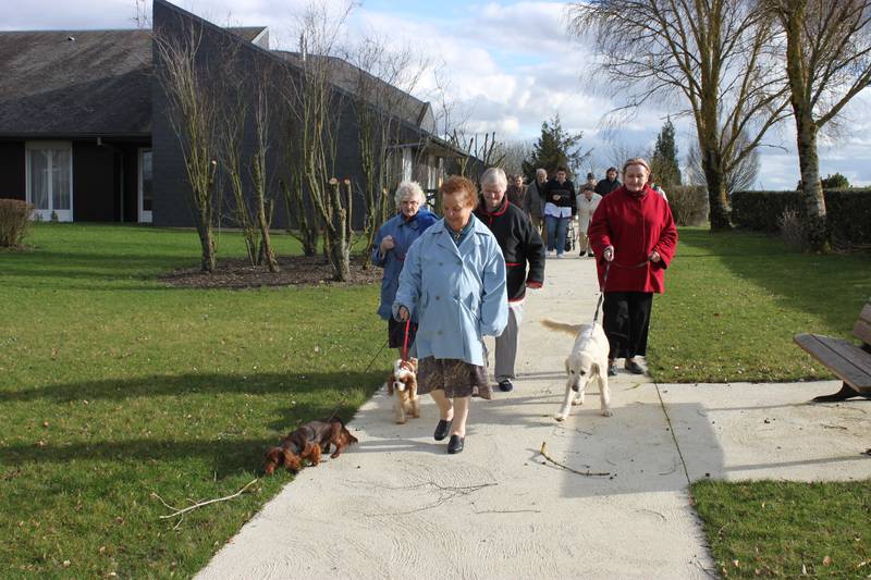 4-chiens visiteurs fév 2013